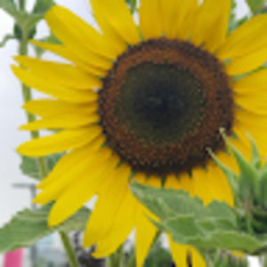 Meet your Posher, Beth